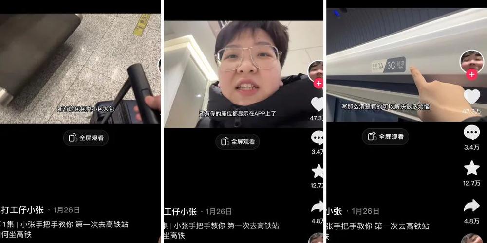 包含调查：揭秘关键内幕，成功之道何在？的词条
